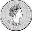 Australia 10 Dollars Dragon and Tiger 2020 Very rare ELIZABETH II AUSTRALIA 10 OZ 9999 AG 2020 10 DOLLARS coin obverse