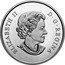 Canada 15 Dollars Year of the Tiger 2022 ELIZABETH II D G REGINA coin obverse