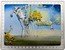 Spain 150 Euro Salvador Dali 2021 M  coin reverse