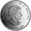 Canada 20 Dollars A Wreath of Remembrance (Lest We Forget) 2021 ELIZABETH II D G REGINA 20 DOLLARS SB coin obverse