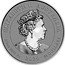 Australia 30 Dollars Australia Striped Marlin Coin 2020 P ELIZABETH II AUSTRALIA 1/3 OZ 9995 PT 2020 30 DOLLARS coin obverse