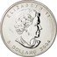 Canada 5 Dollars Elizabeth II. Maple Leaf 2004 KM# 522 ELIZABETH II 5 DOLLARS 2004 coin obverse