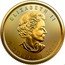 Canada 5 Dollars (Treasured Gold Maple Leaf) ELIZABETH II 5 DOLLARS 2022 SB coin obverse