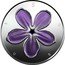Latvia 5 Euro (Coin of Luck) 5 E U R O coin obverse