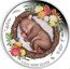 Australia 50 Cents Dreaming Down Under Wombat 2021 P 1/2OZ 9999 SILVER P EM coin reverse