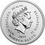 New Zealand One Dollar 20th Anniv Lord of The Rings - Frodo 2021 IRB 2021 ELIZABETH II NEW ZEALAND .999 AG 1 OZ MIDDLE - EARTH coin obverse