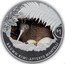 New Zealand One Dollar Kiwi - Coloured 2021 $1 BROWN KIWI - APTERIX MANTELLI coin reverse