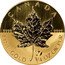 Canada 10 Dollars (Elizabeth II) 9999 9999 CANADA FINE GOLD 1/4 OZ OR PUR M7 coin reverse
