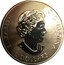 Canada 2 Dollars Elizabeth II Polar Bear 2020  ELIZABETH II D G REGINA 2 DOLLARS coin obverse