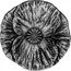 Canada 20 Dollars Remembrance day 2020  (fr) fini antique  coin reverse