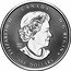 Canada 300 Dollars The Jubilee of Her Majesty 2022 Reverse Proof ELIZABETH II CANADA D G REGINA 9995 SB 300 DOLLARS coin obverse