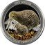New Zealand One Dollar Apteryx Owenii Kiwi colourised 2022  Proof ONE DOLLAR LITTLE SPOTTED KIWI APTERYX OWENII coin reverse
