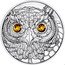 Austria 20 Euro Owl wisdom 2021  coin reverse