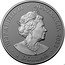 Australia 1 Dollar Australia Zoo - Sumatran Elephant 2022 ELIZABETH II AUSTRALIA 2022 1 DOLLAR coin obverse