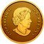 Canada 10 Dollars Everlasting Maple Leaf 2022 SB ELIZABETH II D G REGINA coin obverse