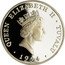 Tuvalu 20 Dollars Flags World Cup Soccer 1994 Proof KM# 22 QUEEN ELIZABETH II TUVALU 1994 coin obverse