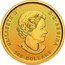 Canada 200 Dollars Prospecting for Gold 2022  Bullion ELIZABETH II D G REGINA 200 DOLLARS coin obverse