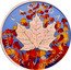 Canada 5 Dollars Four Seasons - Autumn 2017 In Sets only 9999 CANADA FINE SILVER 1 OZ ARGENT PUR coin reverse