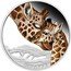 Tuvalu 50 Cents Giraffe 2014 P Proof P IJ GIRAFFE coin reverse