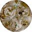 Austria 6 Kreuzer (Franz II) KM# 20 17 93 coin obverse