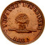 Australia 1 Penny 1862 KM# Tn237 Private Token issues ADVANCE AUSTRALIA coin obverse