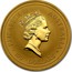 Australia 100 Dollars The Australian Nugget 1994 KM# 237 ELIZABETH II AUSTRALIA 100 DOLLARS RDM coin obverse