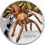Tuvalu 1 Dollar (Tarantula) AUSTRALIA'S TARANTULA coin reverse