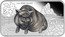 Tuvalu 1 Dollar Vietnamese Pot bellied 2019 P Proof 1 OZ 9999 SILVER P IJ 猪 coin reverse