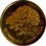 Argentina 1 Peso (Tree Pattern) REPUBLICA ARGENTINA coin obverse