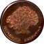 Argentina 1 Peso (Tree Pattern Piece) REPUBLICA ARGENTINA coin obverse