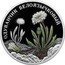 Russia 2 Roubles (Taraxacum Leucoglossum) ОДУВАНЧИК БЕЛОЯЗЫЧКОВЫЙ coin reverse