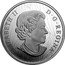 Canada 30 Dollars (Robert Bateman's Snowy Owl) ELIZABETH II D G REGINA SB coin obverse