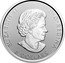Canada 8 Dollars Kermode Bear 2020 In Sets only 8 DOLLARS ELIZABETH II D G REGINA SB coin obverse