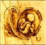 Niue 1 Dollar The da Vinci Codex. Study of an Embryo 2011 Proof KM# 540 coin reverse