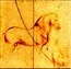 Niue 1 Dollar The da Vinci Codex. Horse 2011 Proof KM# 538 coin reverse