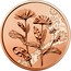 Austria 10 Euro Flower language - marigolds 2022  coin reverse