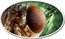 Niue 2 Dollars Housefly Eye 2014 Antique patina KM# 1281 coin reverse