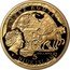 Niue 5 Dollars Amber Route. Gdansk 2008 KM# 333 AMBER ROUTE ELIZABETH II 2008 5 DOLLARS NIUE ISLAND coin obverse