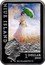 Niue 1 Dollar Claude Monet 2010 Proof KM# 241 NIUE ISLAND 1 DOLLAR 2010 ELIZABETH II coin obverse