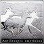 Niue 1 Dollar Pronghorn 2010 Proof KM# 234 ANTILOCAPRA AMERICANA coin reverse