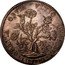 Italy Pezza Della Rosa Cosimo III 1707 KM# 15.4 GRATIA OBVIA VLTIO QVAESTIA LIBVRNI coin reverse