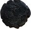 Italy Bolognino Alessandro I ND KM# 17 ALEX DVX MIRA(N)(D) (I) coin obverse