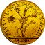 Italy 4 Doppie D'oro (Quadrupla) Pius VI 1786 XII KM# 312 PIVS VI PONT MAX A XII 4 DOP coin obverse