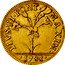 Italy Doppia D'oro Pius VI 1788 KM# 314 PIVS VI PONT MAXIM 1788 coin obverse