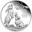 Australia 1 Dollar Elizabeth II Year of the Rabbit 2023 P BU 兔 RABBIT 2023 P coin reverse