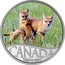 Canada 10 Dollars Wild Swift Fox and Pups 2017 Proof CANADA 1867 2017 coin reverse