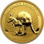 Australia 100 Dollars Australian Kangaroo 2011 KM# 1685 AUSTRALIAN KANGAROO 2011 1 OZ 9999 GOLD P AH coin reverse