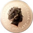 Australia 15 Dollars Lunar Rooster (Colorized) 2005 KM# 794b ELIZABETH II AUSTRALIA 15 DOLLARS IRB coin obverse