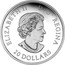 Canada 20 Dollars Star Trek - The Borg 2017 Proof ELIZABETH II D ∙ G ∙ REGINA 20 DOLLARS coin obverse