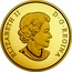Canada 250 Dollars Maple Canopy - Kaleidoscope of Colour 2017 Proof ELIZABETH II D ∙ G ∙ REGINA coin obverse